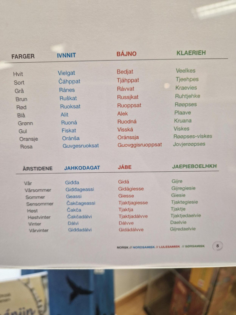 Bilete av eit skjema med ulike samiske ord med den norske oversettjinga