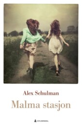 Bokomslag Malma stasjon